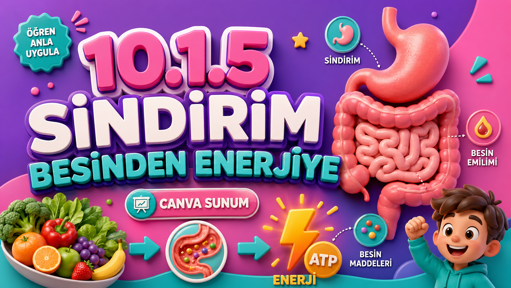 BİY.10.1.5. Canlılarda sindirim çeşitlerini ve yapılarını sınıflandırabilme - Canva Linki kapak görseli