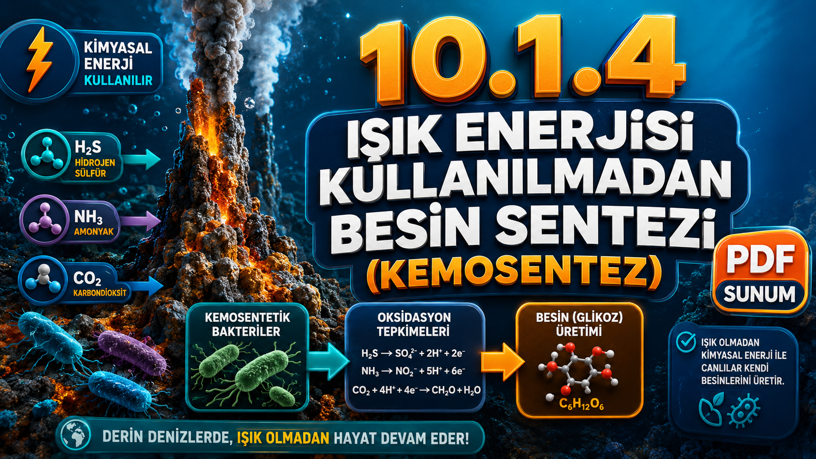 BİY.10.1.4. Kemosentez hakkında bilgi toplayabilme - PDF Konu Anlatımı kapak görseli